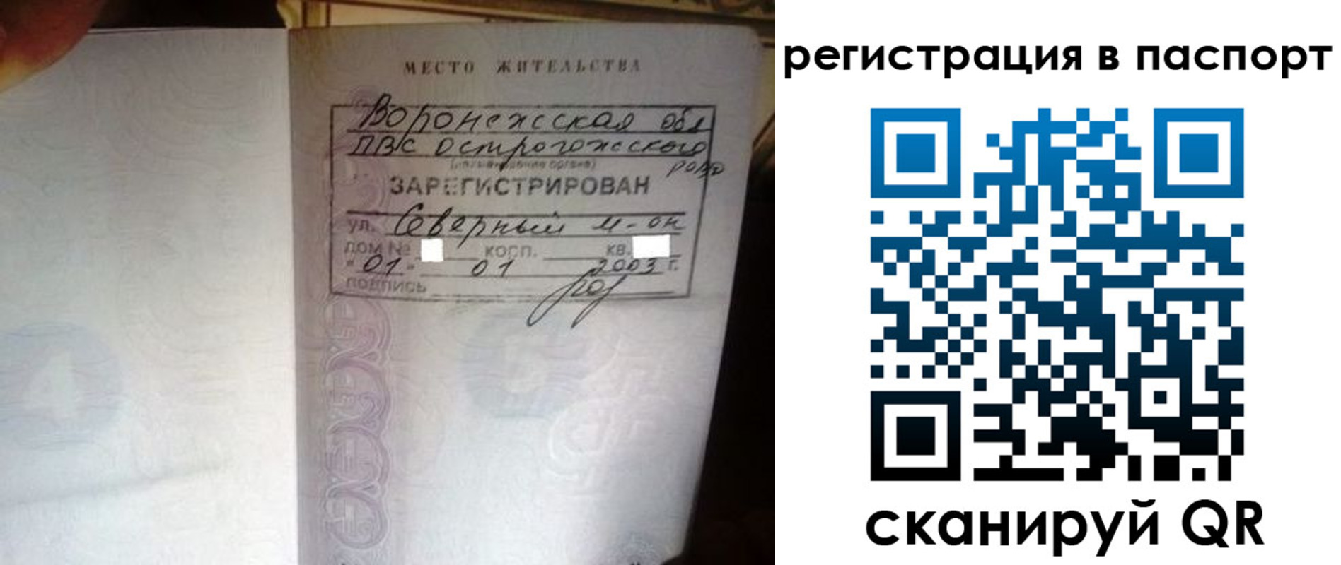 прописка для школы в Дальнегорске